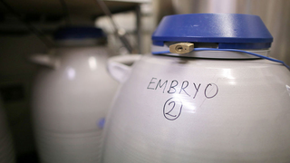 Ovarian Hyperstimulation Syndrome May Be a Bigger IVF Risk Than Doctors Let On
